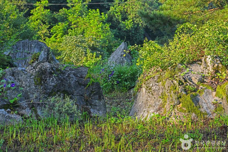 三台山景观