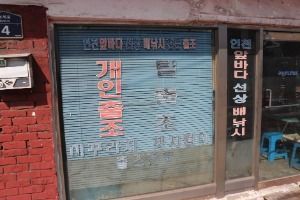 갈매기배낚시