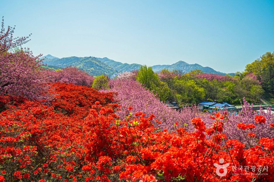 完山公園
