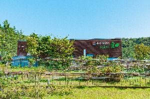 무안 물맞이 치유의 숲