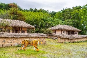 신돌석장군 생가 및 유적지