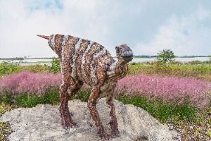 해남공룡박물관