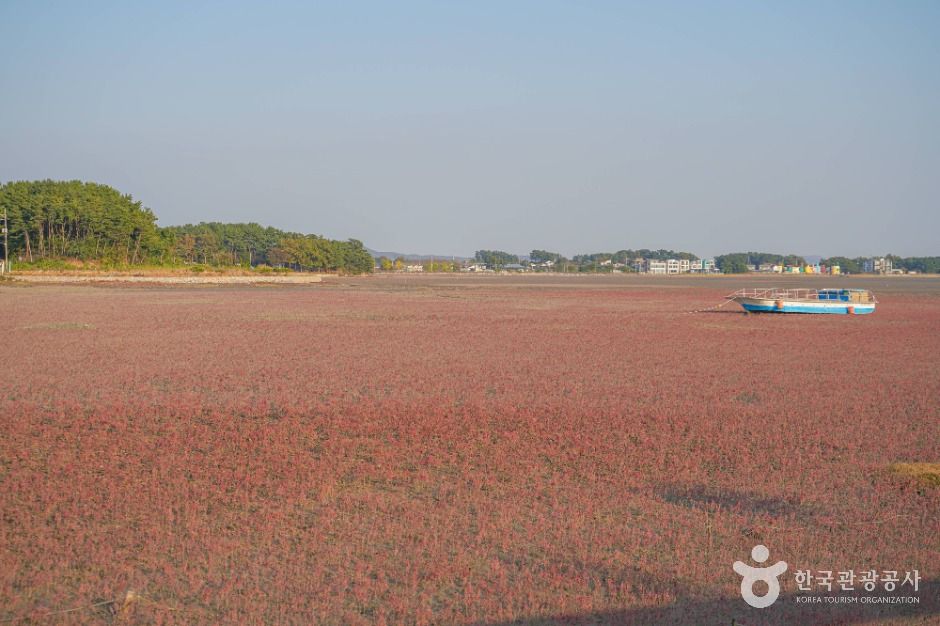 해뜨는 대부도 고랫부리