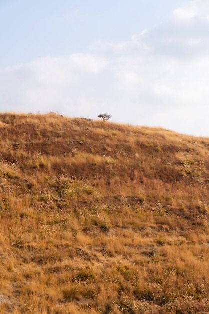 인천 굴업도 가는법 배편 예약부터 개머리언덕 코끼리 바위 백패킹 총정리_굴업도_11