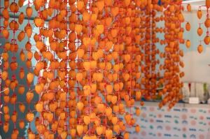 2026 지리산 함양고종시 곶감축제 8