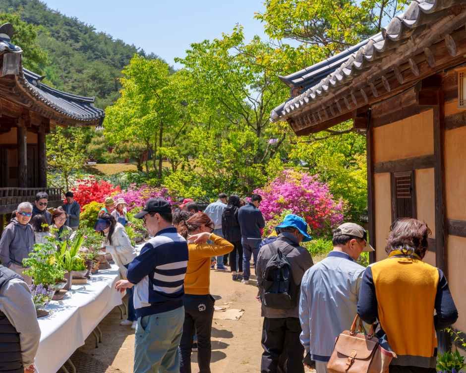 영주 한국선비문화축제