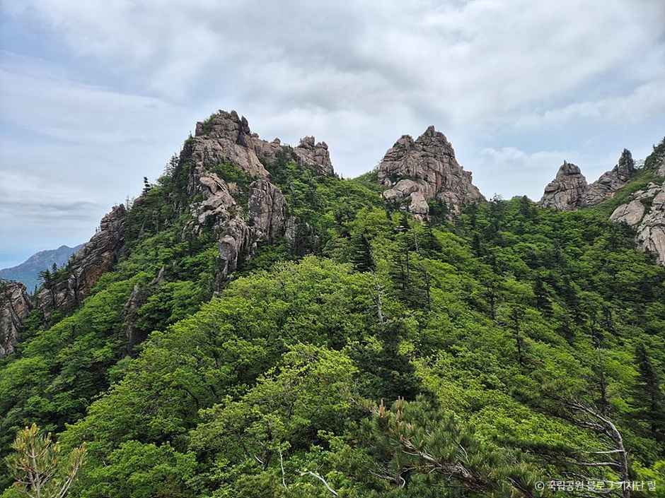 강릉_노인봉 (5).jpg