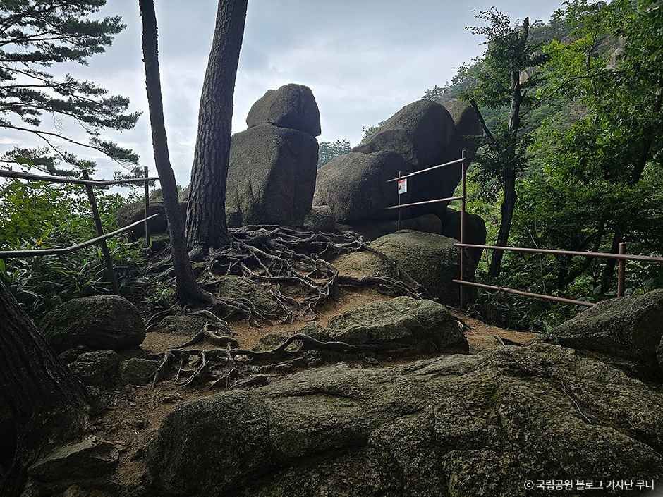 보은_속리산국립공원(충북) (3).jpg