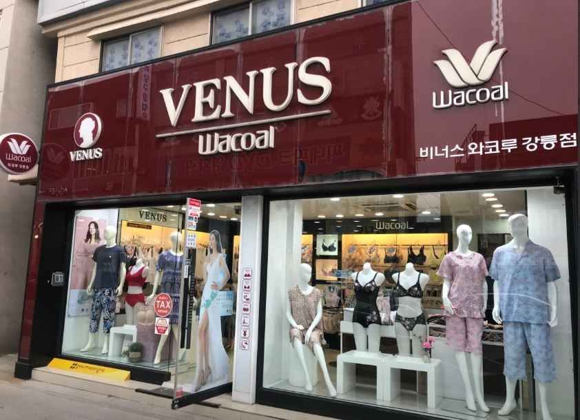 Venus Wacoal - Gangneung Branch [Tax Refund Shop](비너스 와코루 강릉점)