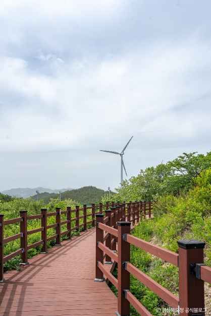 영덕_영덕풍력발전단지 (1).jpg