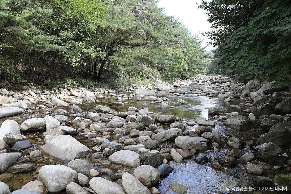 제천_월악산국립공원 용하야영장 (8).jpg
