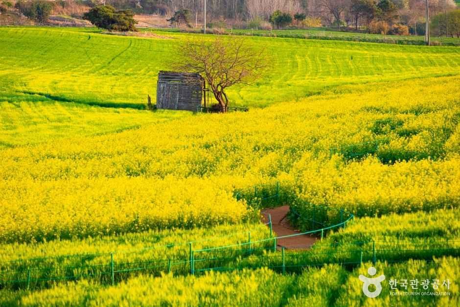 넓은들 학원농장