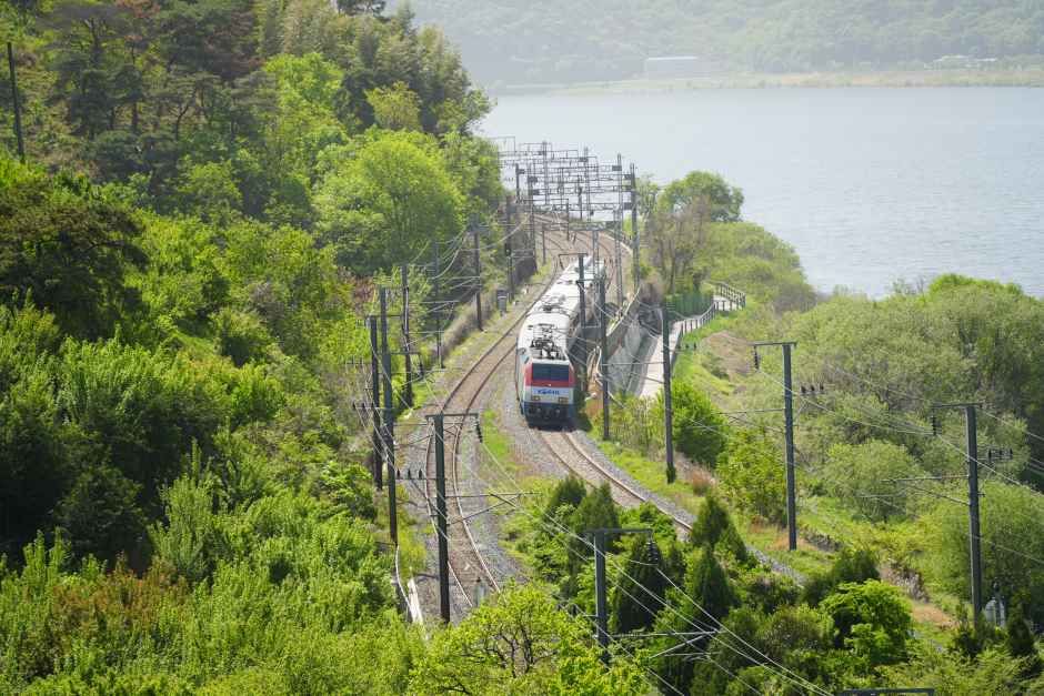 院洞駅付近の洛東江沿いを走る釜山発ソウル行き無窮花1156号
