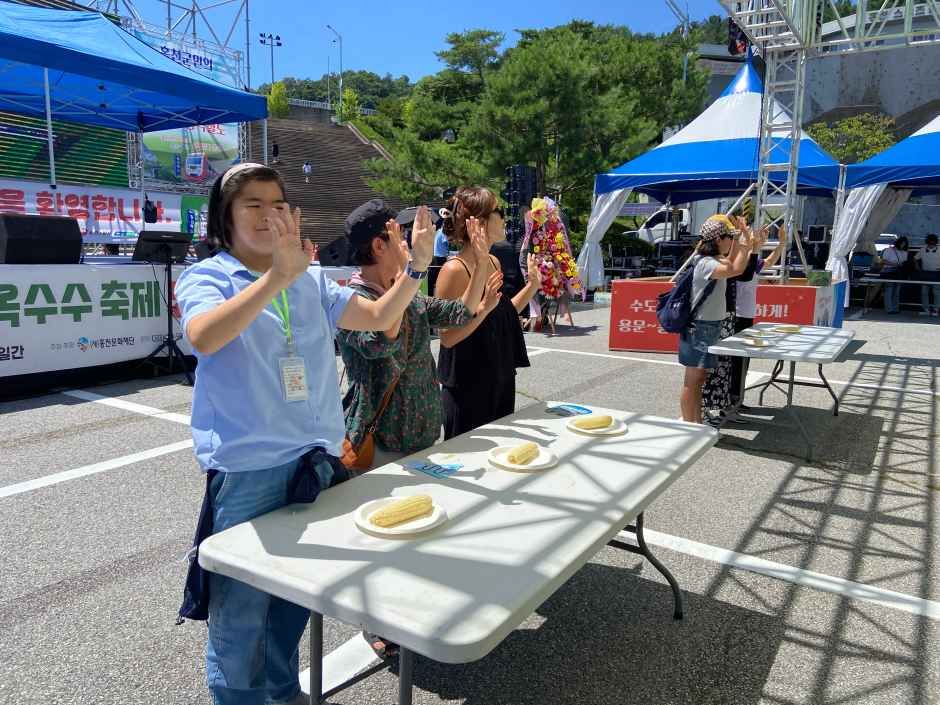 홍천 찰옥수수 축제 관련 이미지 2