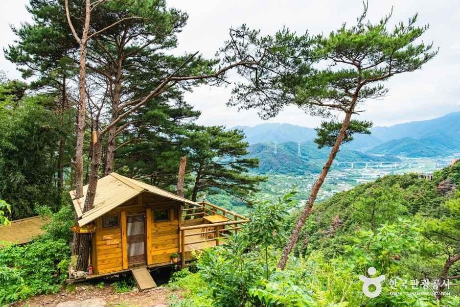숲의하루