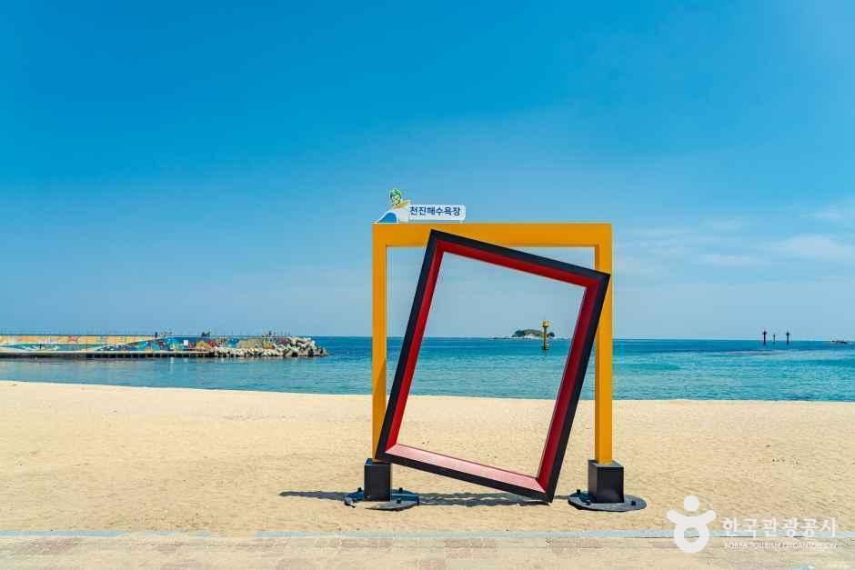 [해파랑길] 46코스