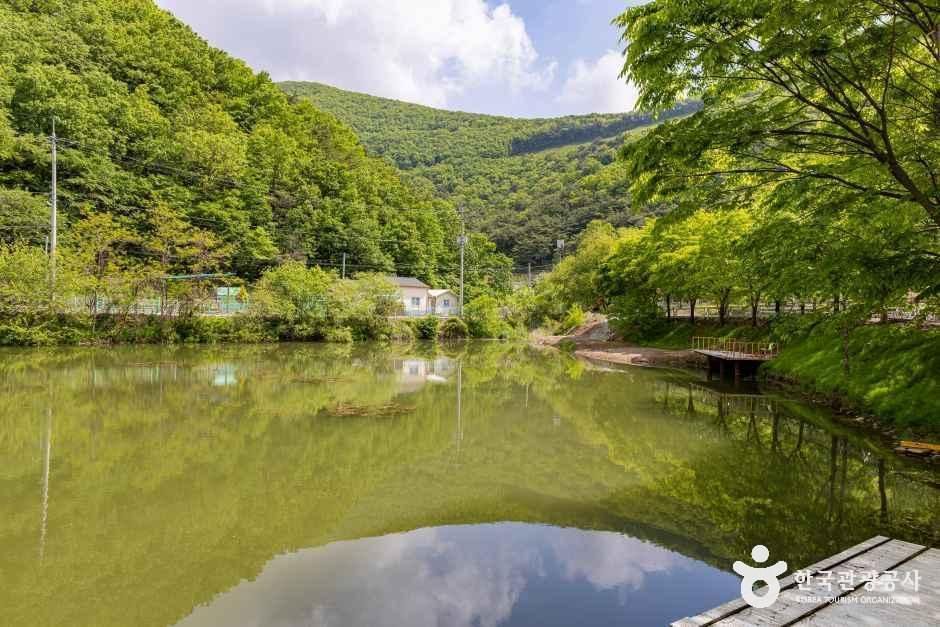 가마실캠핑장