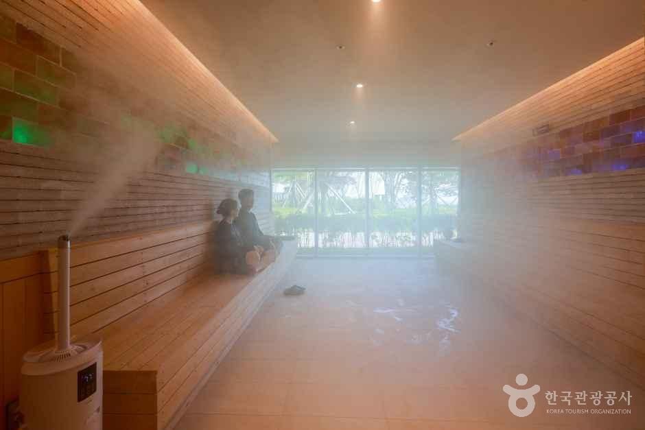 Halo Therapy: Infused with Micro-salt Particles