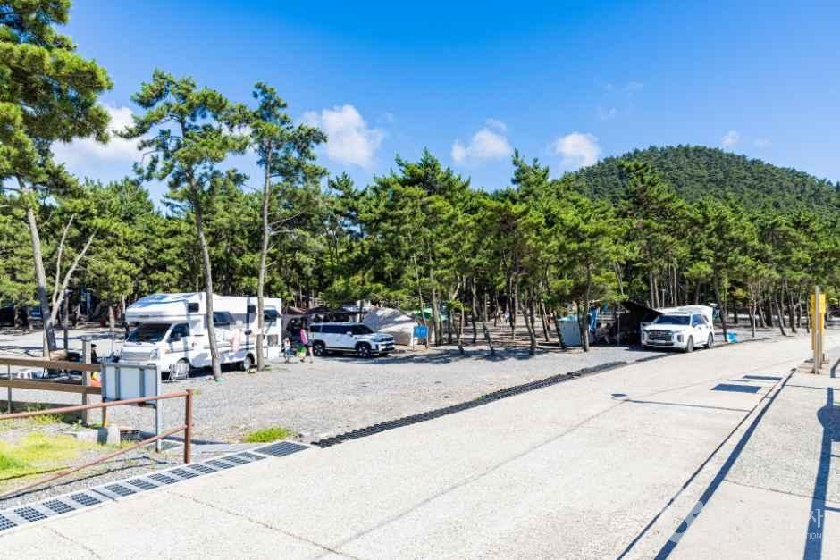 어은돌송림캠핑장