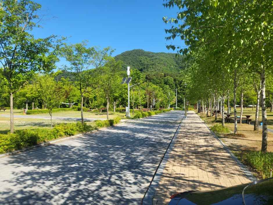 홍천강오토캠핑장 사진 2