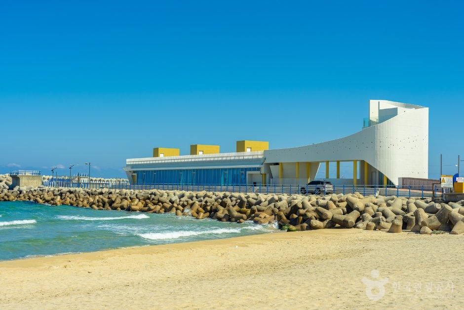 大津海水浴場