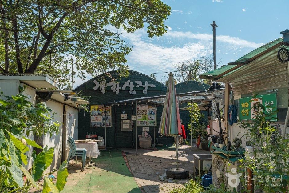 Gaehwasan Jang