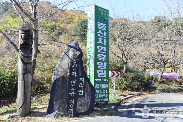 中山里自然休养林