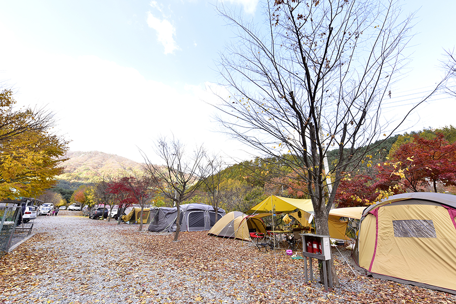 常緑休息オートキャンプ場
