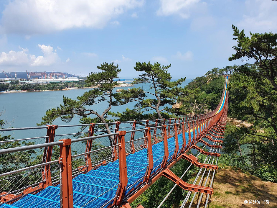 울산 대왕암공원 출렁다리 주간 전경