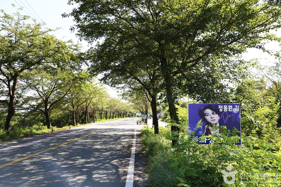 Jeongdongwon Road