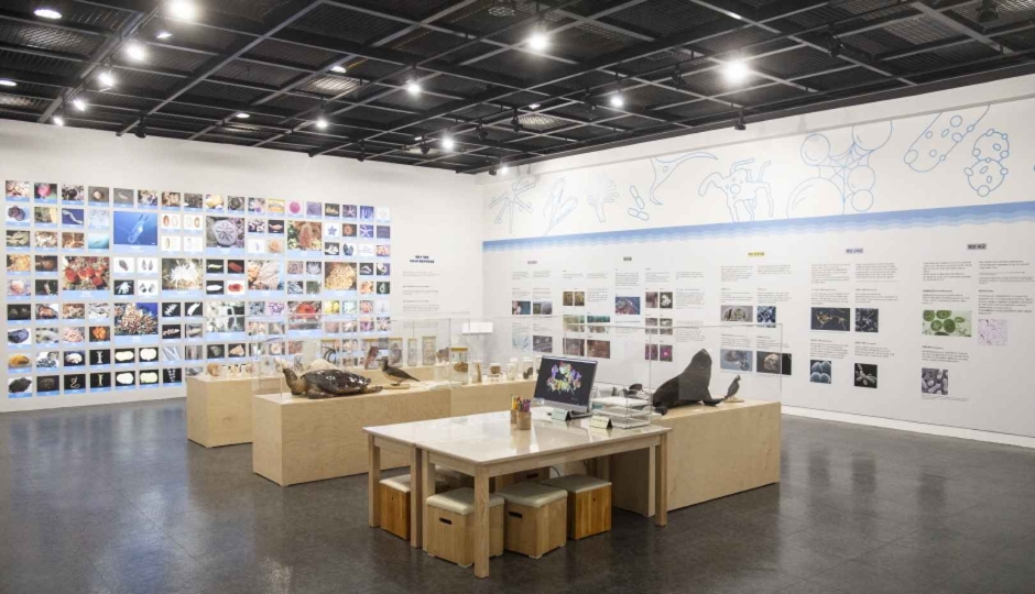 Ewha Womans University Museum