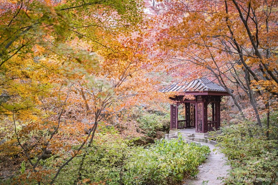 석파정 서울미술관 여행 추천 - 로드트립