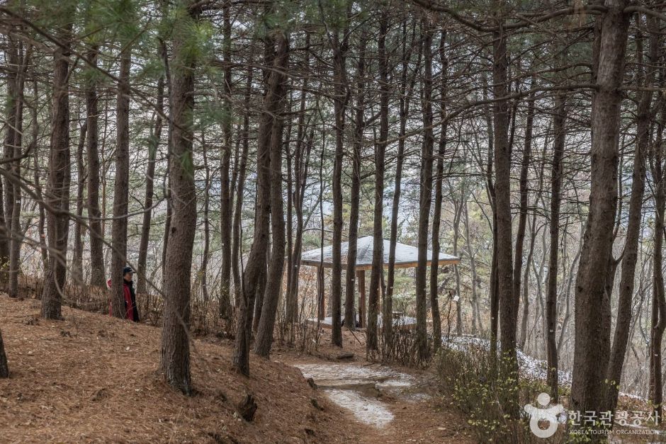 草案山