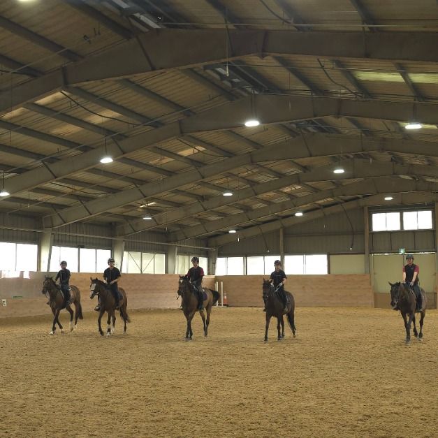 Anseong Farmland Equestrian Center