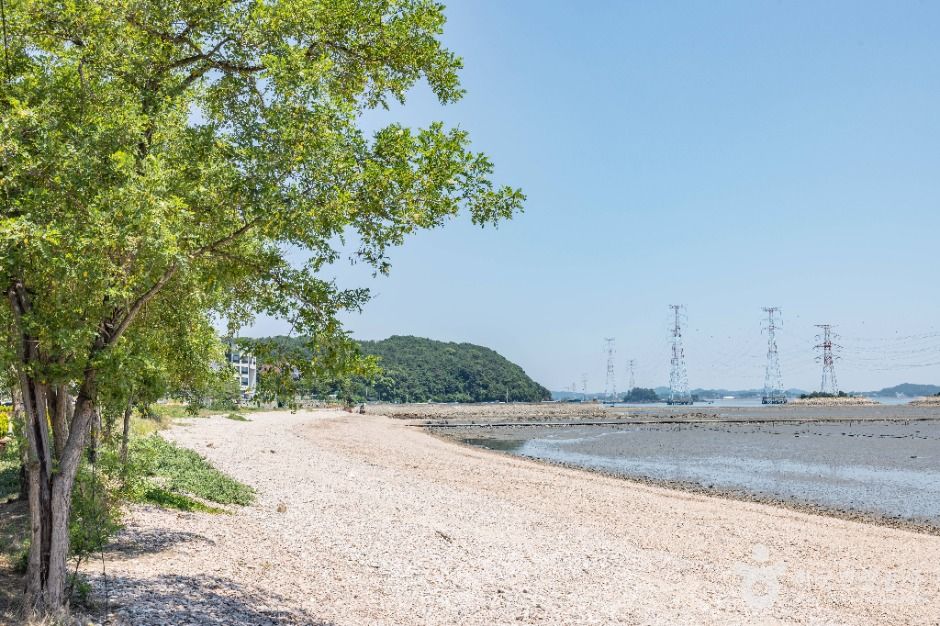 ノガリ海辺
