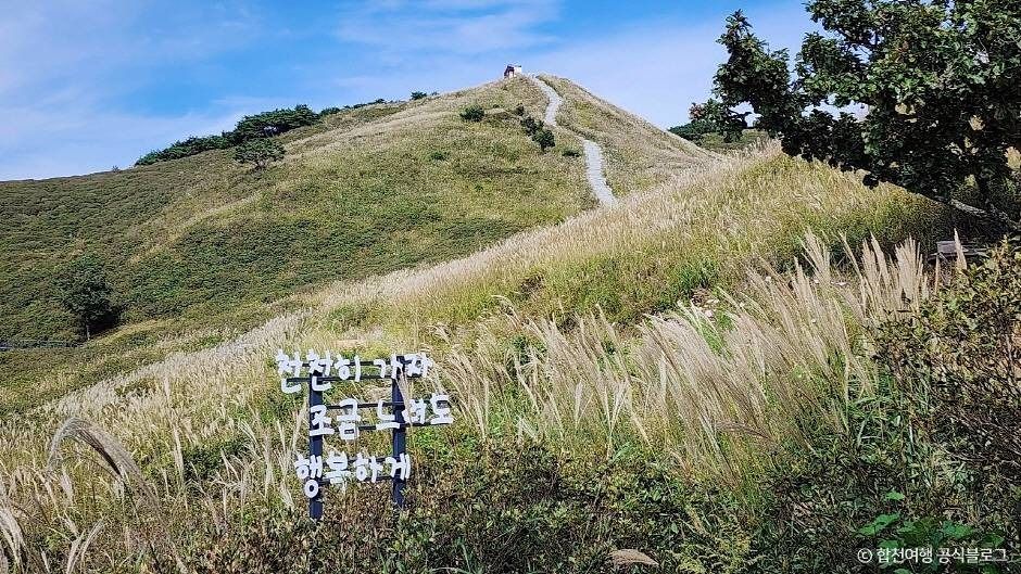 황매산 억새군락지