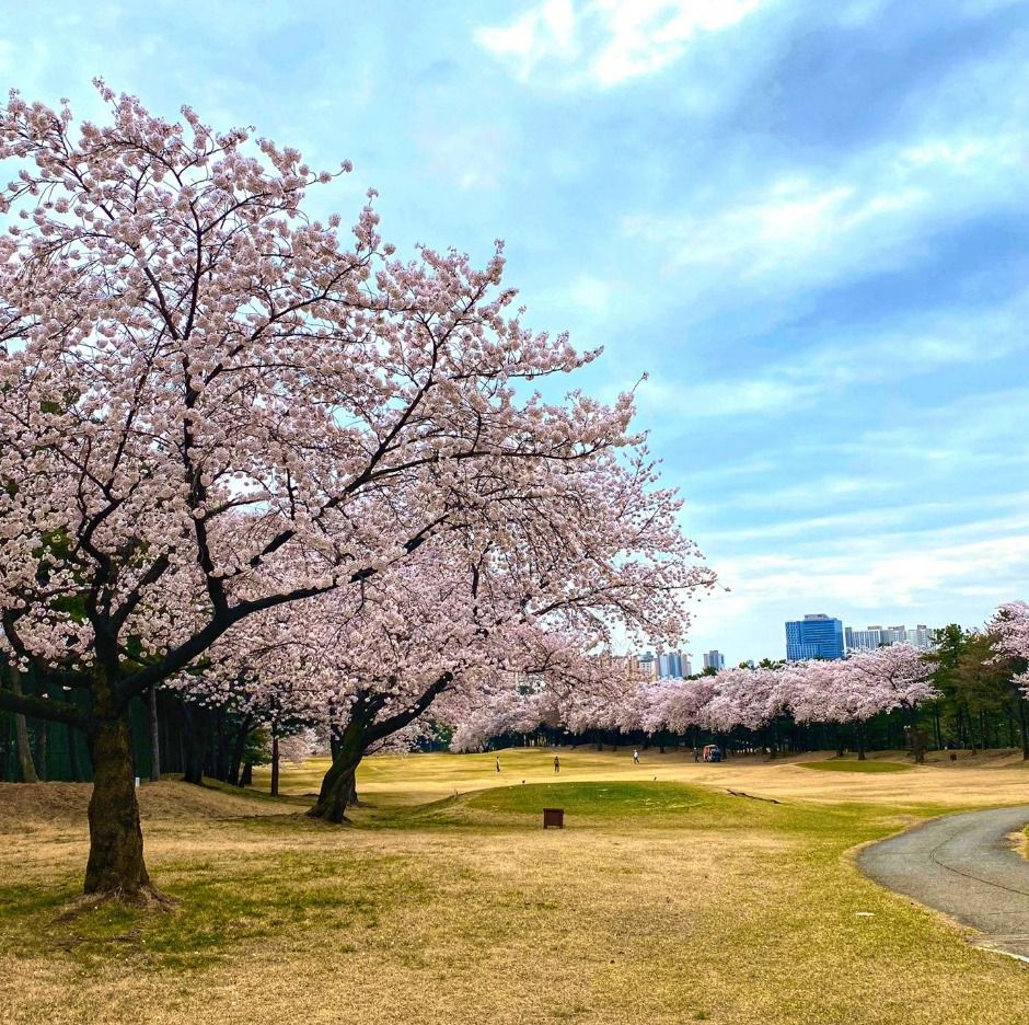 Taekwang Country Club