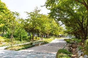 서울_거리공원 (5)