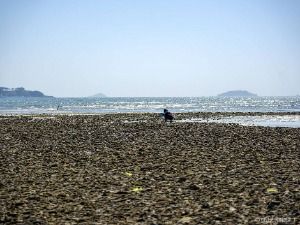 병술만어촌체험마을