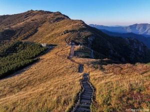 울산 간월재 정상 최단등산코스 무료 주차장 주변 가볼만한곳_간월재_1-16