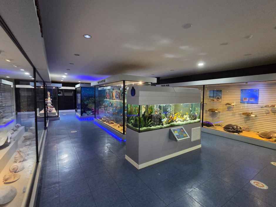 고성_고성자연사박물관 (6).jpg