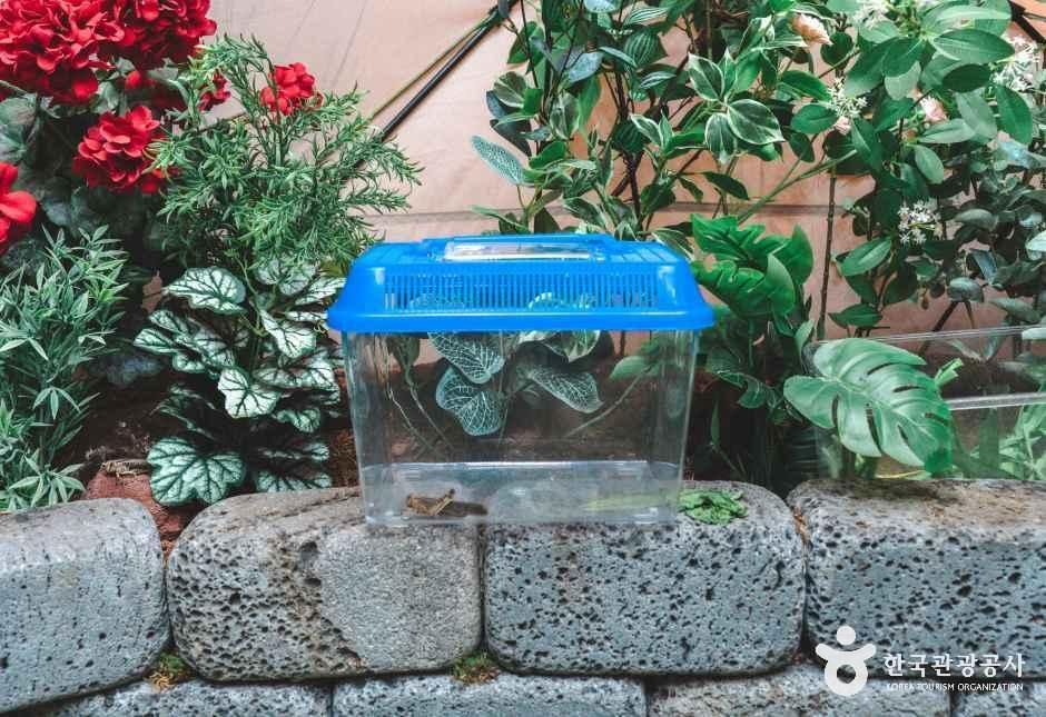 참좋은굼벵이 곤충농장