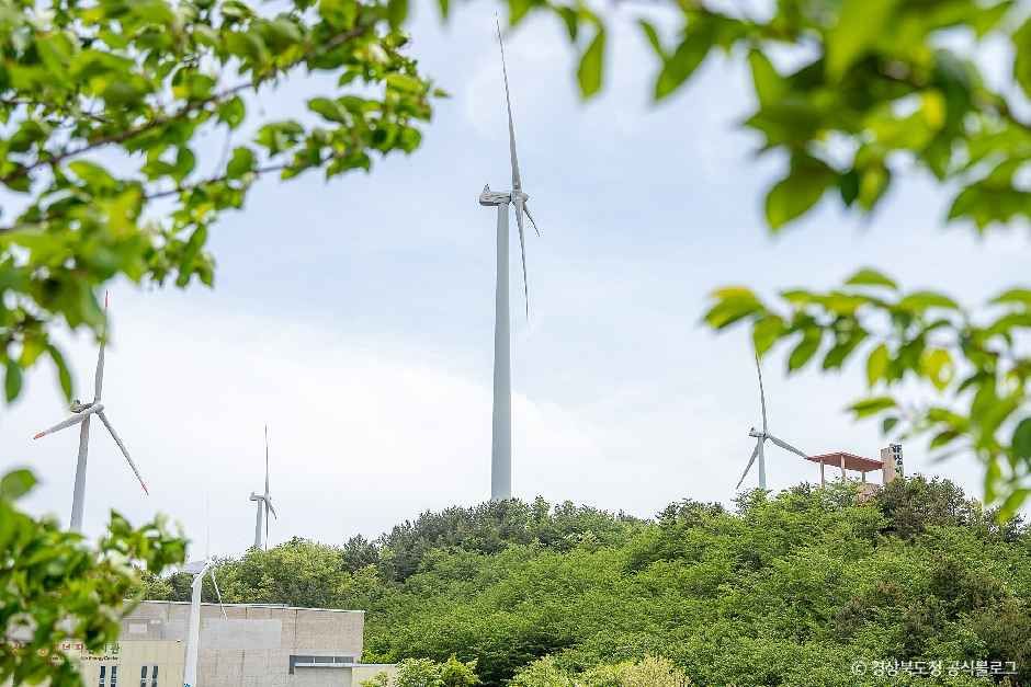 영덕_영덕풍력발전단지 (2).jpg
