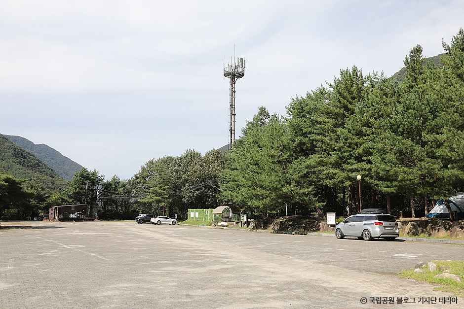 제천_월악산국립공원 용하야영장 (1).jpg