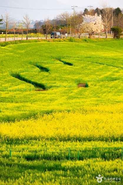 넓은들 학원농장