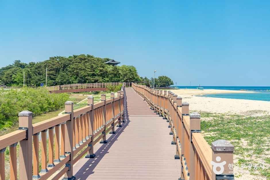 [해파랑길] 46코스