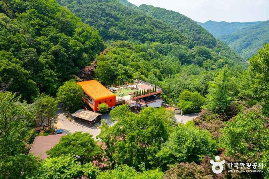 좌구산 자연휴양림 - 충청북도 증평군 증평읍 솟점말길 107 관광 명소