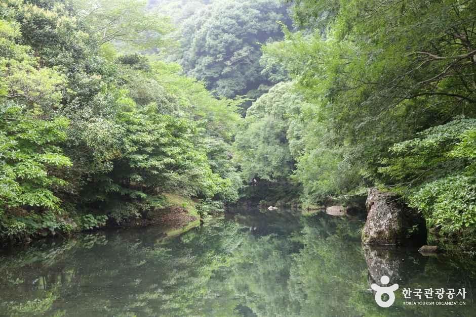 천지연폭포