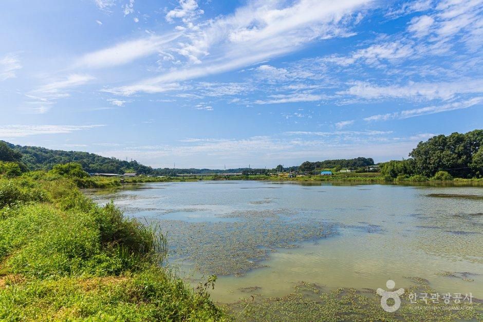 당진 초대리지