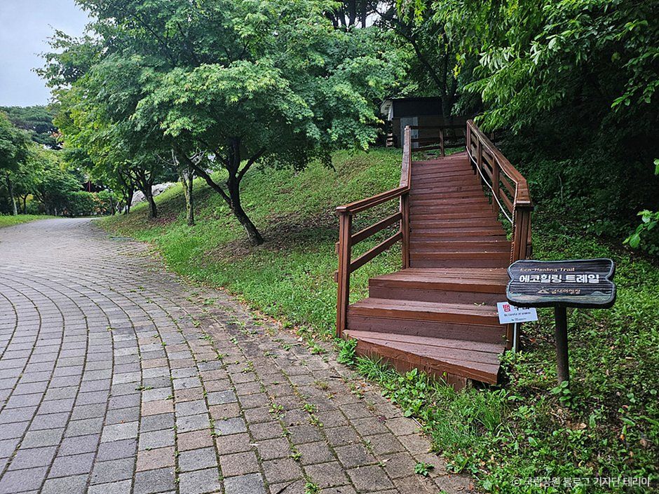 치악산국립공원 금대야영장